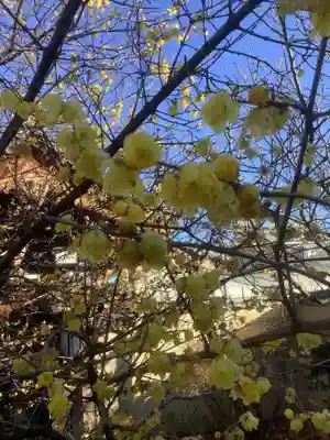 芳珠寺(愛知県)