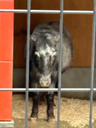 神田神社（神田明神）の{uncategorized: "未分類", other: "その他", undefined: "問題あり", building: "その他建物", grave: "お墓", sacred_gate: "鳥居", guardian: "狛犬", statue: "像", buddha: "仏像", history: "歴史", nature: "自然", garden: "庭園", animal: "動物", pagoda: "塔", temizu: "手水舎", mountain_gate: "山門・神門", sanctuary: "本殿・本堂", subordinate: "末社・摂社", art: "芸術", scenery: "景色", jizo: "地蔵", ema: "絵馬", goshuin: "御朱印", omikuji: "おみくじ", items: "授与品その他", amulet: "お守り", goshuincho: "御朱印帳", eats: "食事", festival: "お祭り", votive_dance: "神楽", shichigosan: "七五三参", wedding: "結婚式", experience: "体験その他", initially: "初詣", around: "周辺", anti_infection: "感染症対策"}