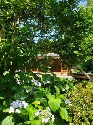 阿佐ヶ谷神明宮(東京都)