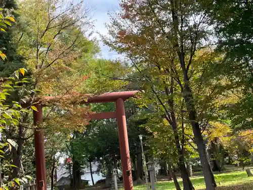 深川神社の鳥居