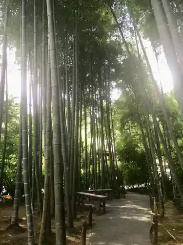 明月院(神奈川県)