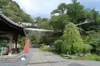 岡寺(龍蓋寺)(奈良県)