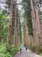 戸隠神社奥社(長野県)