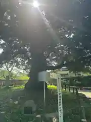 一之宮貫前神社(群馬県)