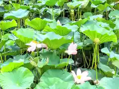 称名寺(宮城県)