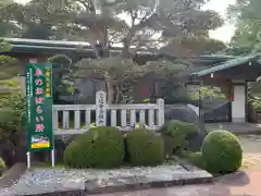 白山宮の建物その他