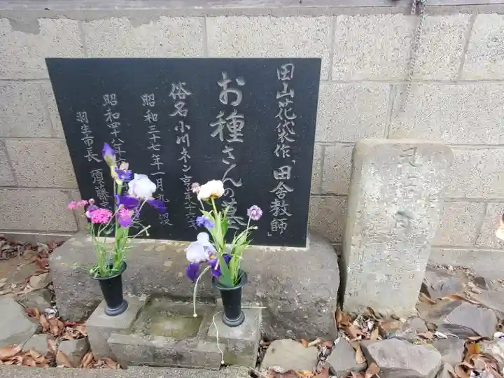 円照寺(埼玉県)