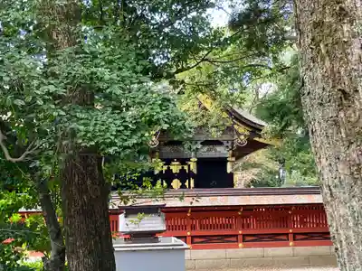 伊賀八幡宮(愛知県)