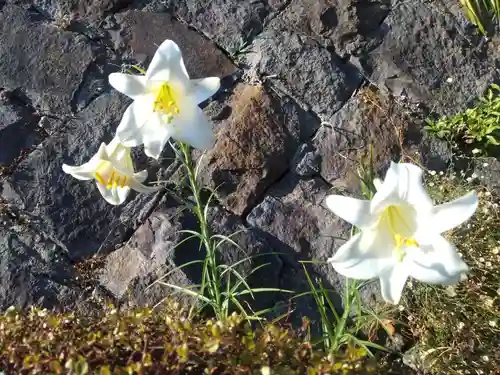 高養寺(神奈川県)