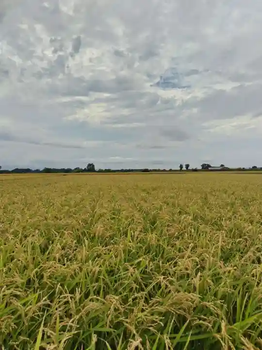 厚別神社(北海道)