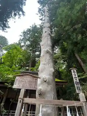 諏訪大社下社春宮(長野県)