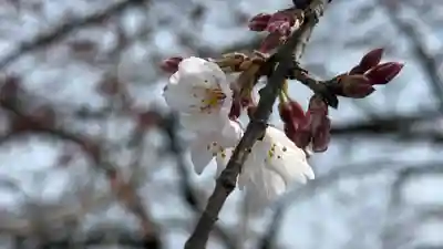 岩之上堂(埼玉県)