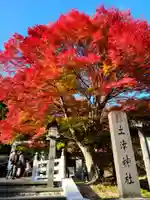 土津神社|こどもと出世の神さまの自然