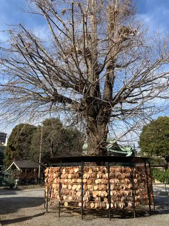 今戸神社(東京都)