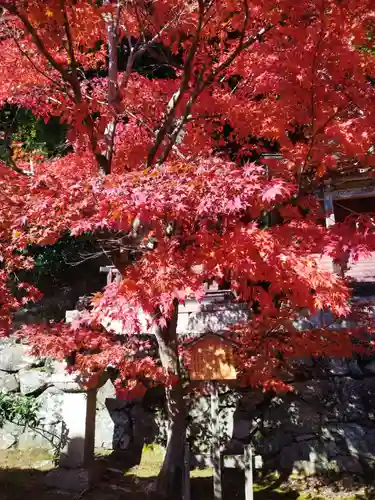 三社権現(奈良県)