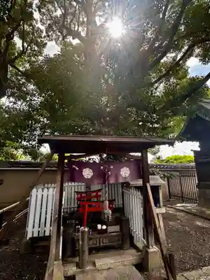東寺（教王護国寺）(京都府)
