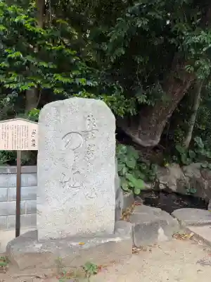 師岡熊野神社の{uncategorized: "未分類", other: "その他", undefined: "問題あり", building: "その他建物", grave: "お墓", sacred_gate: "鳥居", guardian: "狛犬", statue: "像", buddha: "仏像", history: "歴史", nature: "自然", garden: "庭園", animal: "動物", pagoda: "塔", temizu: "手水舎", mountain_gate: "山門・神門", sanctuary: "本殿・本堂", subordinate: "末社・摂社", art: "芸術", scenery: "景色", jizo: "地蔵", ema: "絵馬", goshuin: "御朱印", omikuji: "おみくじ", items: "授与品その他", amulet: "お守り", goshuincho: "御朱印帳", eats: "食事", festival: "お祭り", votive_dance: "神楽", shichigosan: "七五三参", wedding: "結婚式", experience: "体験その他", initially: "初詣", around: "周辺", anti_infection: "感染症対策"}