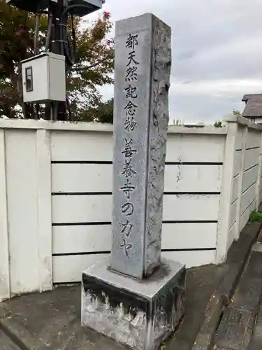 善養寺（善養密寺）(東京都)