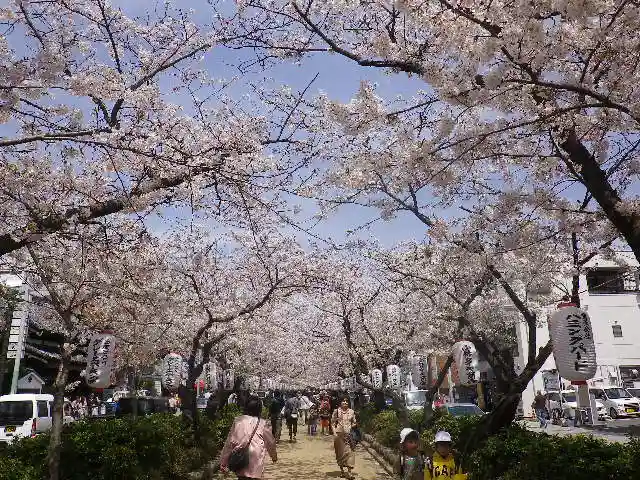 鶴岡八幡宮の自然