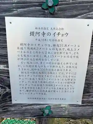 鑁阿寺(栃木県)