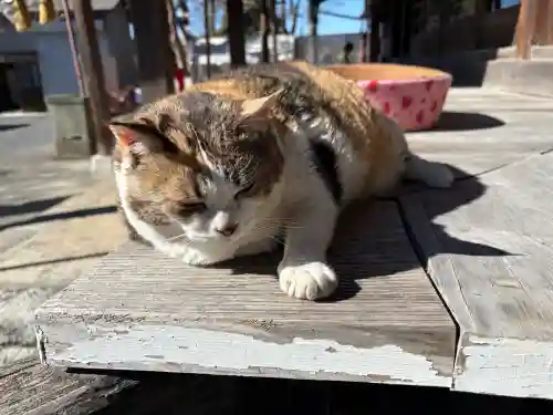 賀茂別雷神社の{uncategorized: "未分類", other: "その他", undefined: "問題あり", building: "その他建物", grave: "お墓", sacred_gate: "鳥居", guardian: "狛犬", statue: "像", buddha: "仏像", history: "歴史", nature: "自然", garden: "庭園", animal: "動物", pagoda: "塔", temizu: "手水舎", mountain_gate: "山門・神門", sanctuary: "本殿・本堂", subordinate: "末社・摂社", art: "芸術", scenery: "景色", jizo: "地蔵", ema: "絵馬", goshuin: "御朱印", omikuji: "おみくじ", items: "授与品その他", amulet: "お守り", goshuincho: "御朱印帳", eats: "食事", festival: "お祭り", votive_dance: "神楽", shichigosan: "七五三参", wedding: "結婚式", experience: "体験その他", initially: "初詣", around: "周辺", anti_infection: "感染症対策"}