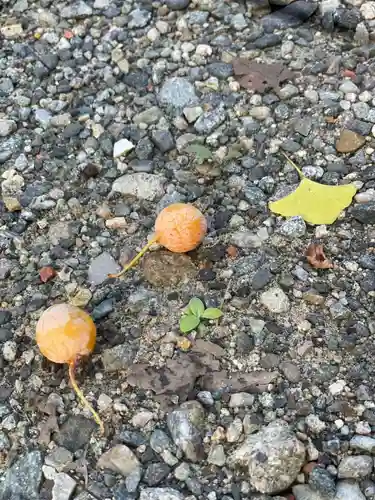 伊勢の国 四天王寺の動物