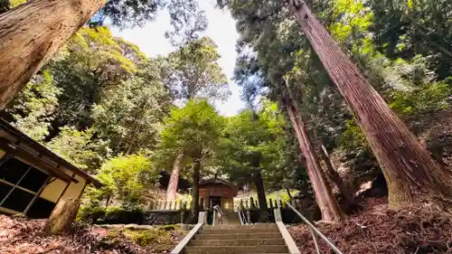熊野神社(福井県)
