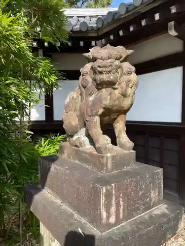 京都乃木神社の狛犬