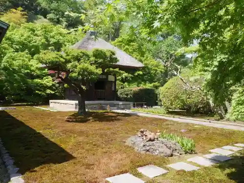 長壽寺（長寿寺）の庭園