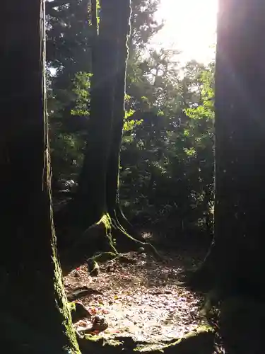 須佐神社の自然
