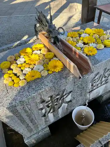 川越八幡宮(埼玉県)