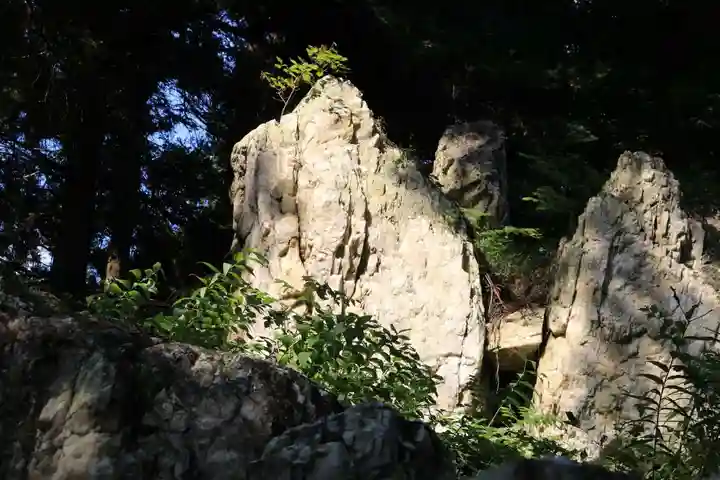鹿島大神宮の自然