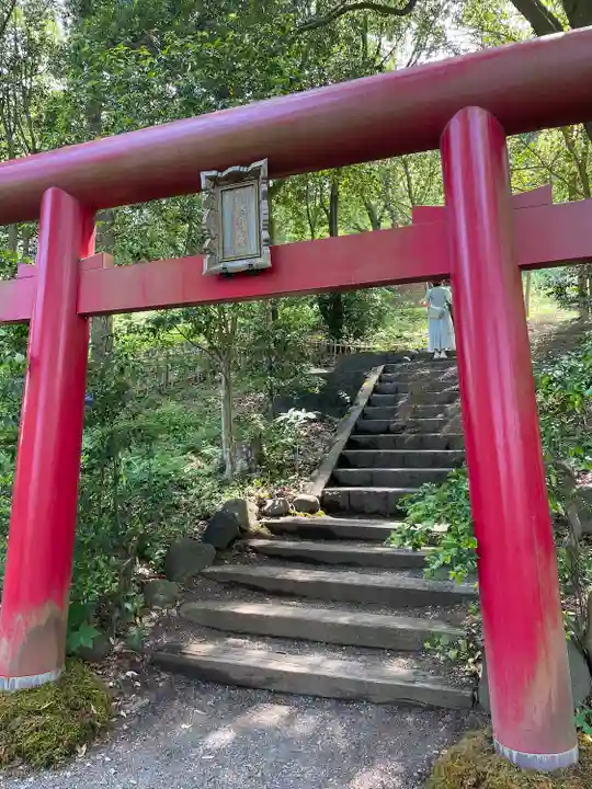 曽我浅間神社(静岡県)