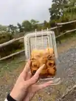 長岡天満宮(京都府)