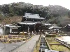 三室戸寺の本殿