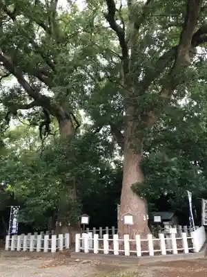 服織田神社(静岡県)