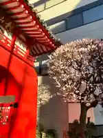 海蔵寺のその他建物