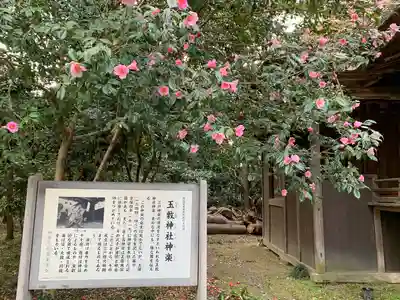 玉敷神社のその他建物