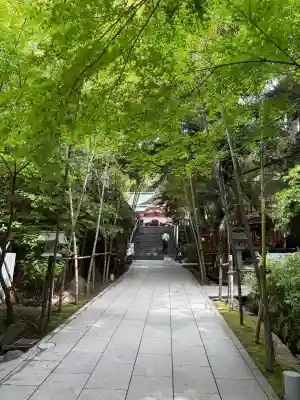 來宮神社の{uncategorized: "未分類", other: "その他", undefined: "問題あり", building: "その他建物", grave: "お墓", sacred_gate: "鳥居", guardian: "狛犬", statue: "像", buddha: "仏像", history: "歴史", nature: "自然", garden: "庭園", animal: "動物", pagoda: "塔", temizu: "手水舎", mountain_gate: "山門・神門", sanctuary: "本殿・本堂", subordinate: "末社・摂社", art: "芸術", scenery: "景色", jizo: "地蔵", ema: "絵馬", goshuin: "御朱印", omikuji: "おみくじ", items: "授与品その他", amulet: "お守り", goshuincho: "御朱印帳", eats: "食事", festival: "お祭り", votive_dance: "神楽", shichigosan: "七五三参", wedding: "結婚式", experience: "体験その他", initially: "初詣", around: "周辺", anti_infection: "感染症対策"}