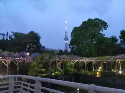 亀戸天神社(東京都)