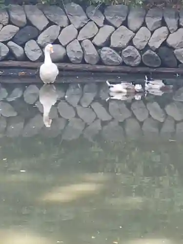 生島足島神社(長野県)