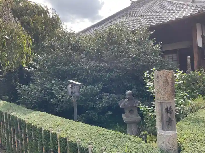 地蔵院(椿寺)(京都府)