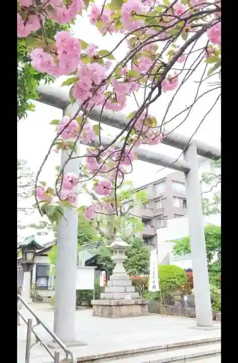 桜神宮の{uncategorized: "未分類", other: "その他", undefined: "問題あり", building: "その他建物", grave: "お墓", sacred_gate: "鳥居", guardian: "狛犬", statue: "像", buddha: "仏像", history: "歴史", nature: "自然", garden: "庭園", animal: "動物", pagoda: "塔", temizu: "手水舎", mountain_gate: "山門・神門", sanctuary: "本殿・本堂", subordinate: "末社・摂社", art: "芸術", scenery: "景色", jizo: "地蔵", ema: "絵馬", goshuin: "御朱印", omikuji: "おみくじ", items: "授与品その他", amulet: "お守り", goshuincho: "御朱印帳", eats: "食事", festival: "お祭り", votive_dance: "神楽", shichigosan: "七五三参", wedding: "結婚式", experience: "体験その他", initially: "初詣", around: "周辺", anti_infection: "感染症対策"}