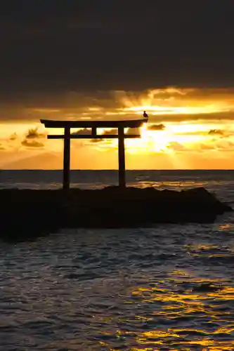 大洗磯前神社(茨城県)