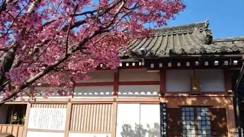 東寺（教王護国寺）のその他建物
