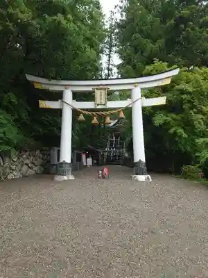 宝登山神社の鳥居