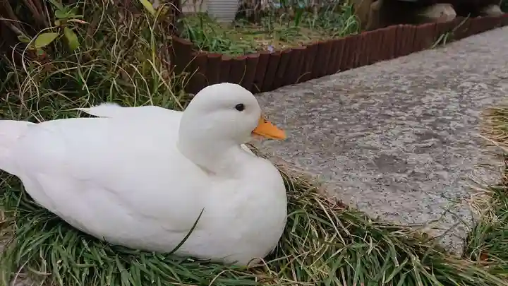 清光院(静岡県)