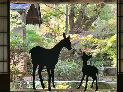 国宝 長寿寺(滋賀県)
