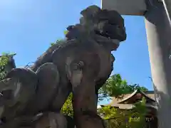 東神奈川熊野神社の狛犬