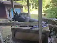 浄水寺(大分県)